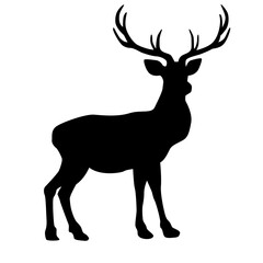 Fototapeta premium Deer Silhoutte