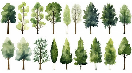 Watercolor trees symbols collection. Set of hand drawn trees isolated on white background. Forest tree pack., Generative AI
