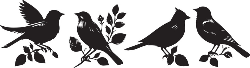 Collection of birds' black silhouette vector illustration and hand-drawn image.