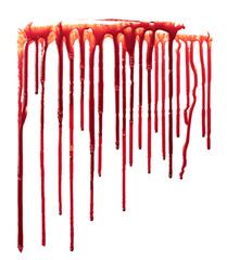 Dripping blood isolated on white background. Flowing bloody stains, splashes and drops. Trail and...