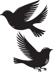 Collection of birds' black silhouette vector illustration and hand-drawn image.