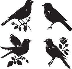 Collection of birds' black silhouette vector illustration and hand-drawn image.