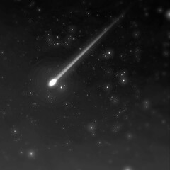 モノクロの夜空に流れ星