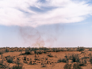 A desert landscape with a cloud in the sky. The sky is blue and the clouds are white