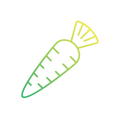 Carrot vector icon