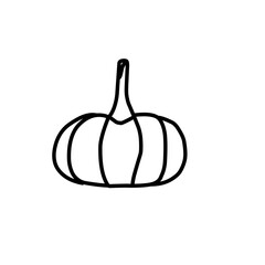 Handdrawn pumpkin outline