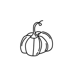 Handdrawn pumpkin outline