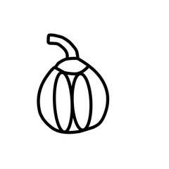 Handdrawn pumpkin outline