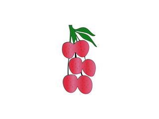 Lychee fruit vector icon isolated