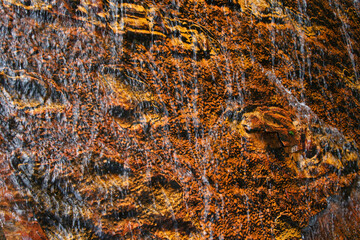 Riverbed with pattern of red and orange gemstone jasper at Quebrada de Jaspe, Jasper Creek, with one green leaf, Gran Sabana, Venezuela