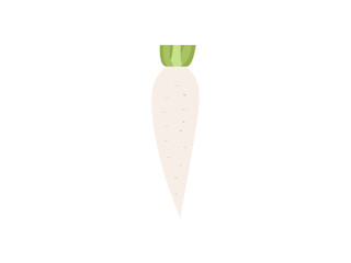 White radish icon. Daikon radish with green stem isolated vegetable root. 