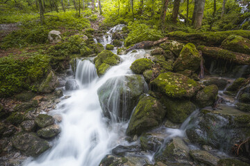 Obraz premium Rothbach Waterfall near Konigssee lake in Berchtesgaden National Park, Germany