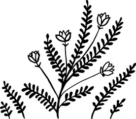 Plant with flowers. Vector illustration. For printing and decoration.