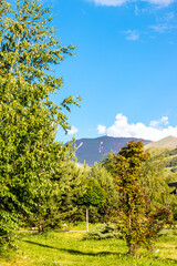 Summer view of Erzurum Palandoken, showcasing lush greenery and clear skies, symbolizing tranquility and nature's beauty
