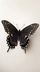 Naklejka premium A black butterfly with orange spots on its wings. The butterfly is resting on a white background. Concept of calmness and serenity, as the butterfly is not in motion
