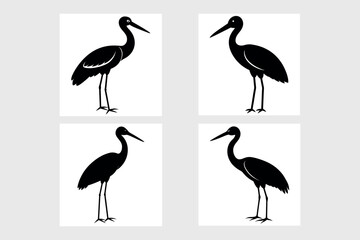 Set of Stork Birds