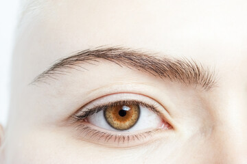 Close-up of a brown eye with long eyelashes