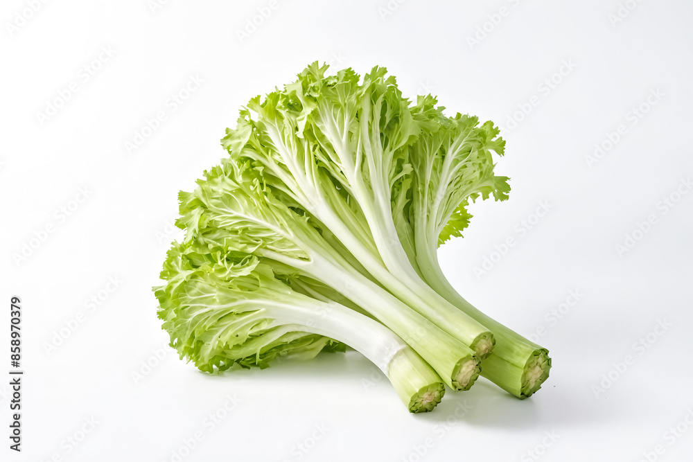 Canvas Prints Fresh green lettuce on white background