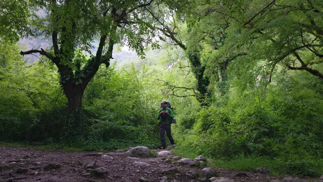 A lone hiker navigates the winding trail through the verdant, dense foliage of Vikos Gorge.