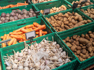 Background of bright multi colored flower bouquet blooming.