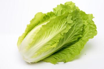 fresh lettuce on isolated white background