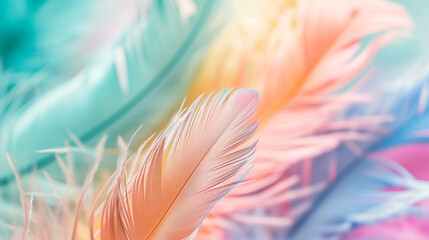 Naklejka premium pastel rainbow colour feather, abstract background texture.
