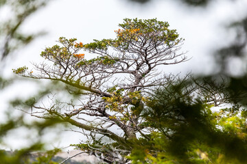 View of Los Glaciares National Park, El Chalten,Patagonia, Argentina.