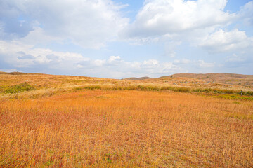 Obraz premium 秋吉台