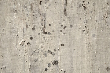 texture of old gray plaster