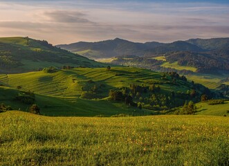 Green mountain meadows with cattle. Mountain pass in Pieniny in Poland. Beautiful, dynamic and hazy sky over the mountains.