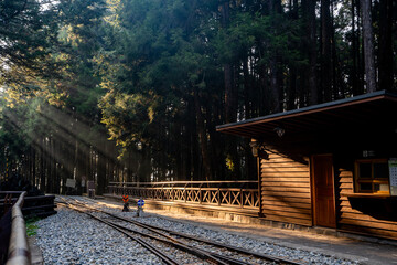 Obraz premium railway in the woods