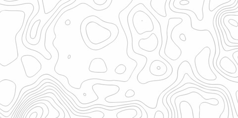 White wave paper curved reliefs abstract background. The topographic map contour in lines isolated. Abstract white topographic map background with lines. Background of the topography map.