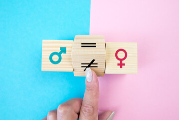 The concept of human rights and equality in social, economic and political rights, responsibilities and opportunities.