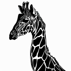 Naklejka premium A black and white drawing of a giraffe 's head and neck