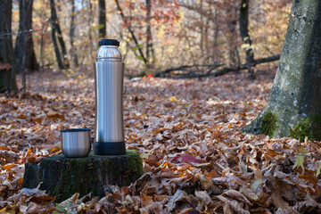 cup with tea. a thermos of tea, hot drink. thermos on an old tree stump. The concept of tourism, survival and hunting in the autumn in forest. dry leaves in the park. rest at nature.