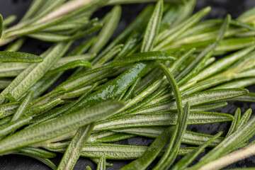 green fresh rosemary is a spice in cooking