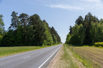 Fototapeta premium a narrow paved road in the summer