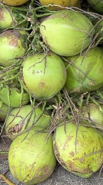 4K resolution footage of coconut water seller in street. Set of coconuts ready to be sold