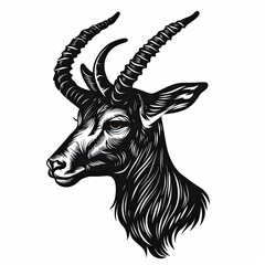 Fototapeta premium A black and white drawing of a goat 's head with long horns