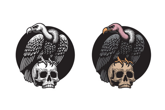 A vulture bird sitting on a human skull. Vintage engraving vector illustration, sketch, tattoo, print, emblem. isolated object, cut out