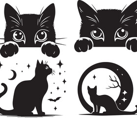 black and white cats