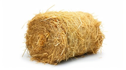 Hay. Isolated Bale of Straw on White Background