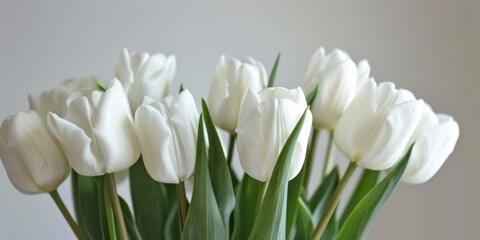 White Tulip Bunch on Soft Greeting Background for Mother's Day Celebration