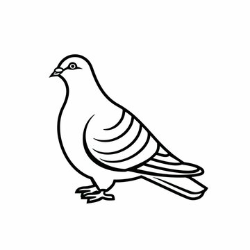 black and white pigeon standing clip art preview