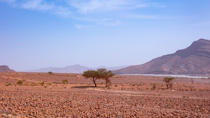 Beautiful desert landscape- Morocco