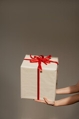 Hands Presenting Wrapped Gift Box with Red Ribbon. Christmas, Birthday, Holiday, Celebration, and Special Occasion Concept