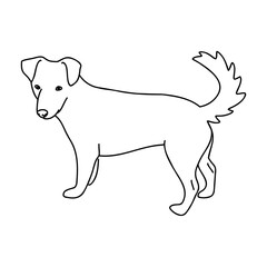 black line Alopecis the dog, vector sketch