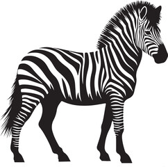 zebra sillhouette art vector  illustration