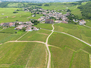 Fuissé est une commune française située dans le département de Saône-et-Loire, en Bourgogne-Franche-Comté, célèbre pour son vignoble et son vin Pouilly-Fuissé