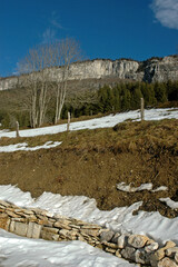 Le plateau en hiver, Parc naturel régional du Vercors, 38, Isere, Region Rhone Alpes, France